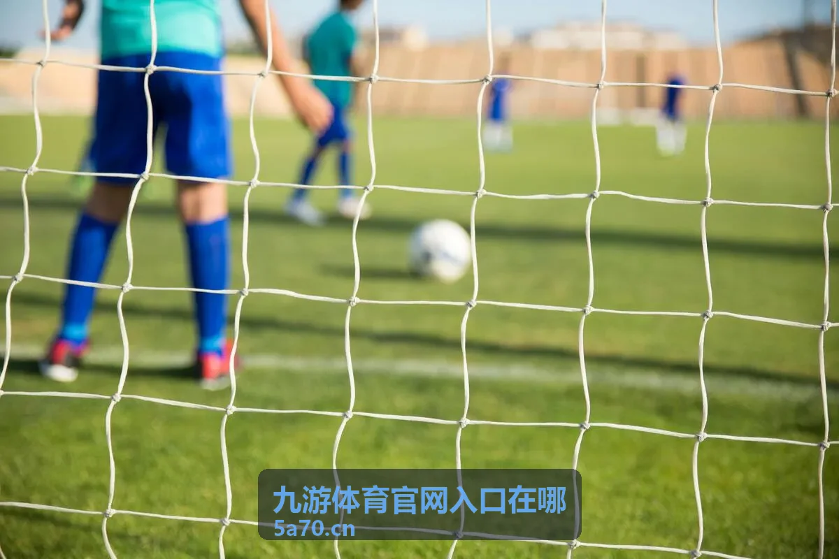 九游体育官网入口在电脑端访问时的界面示意